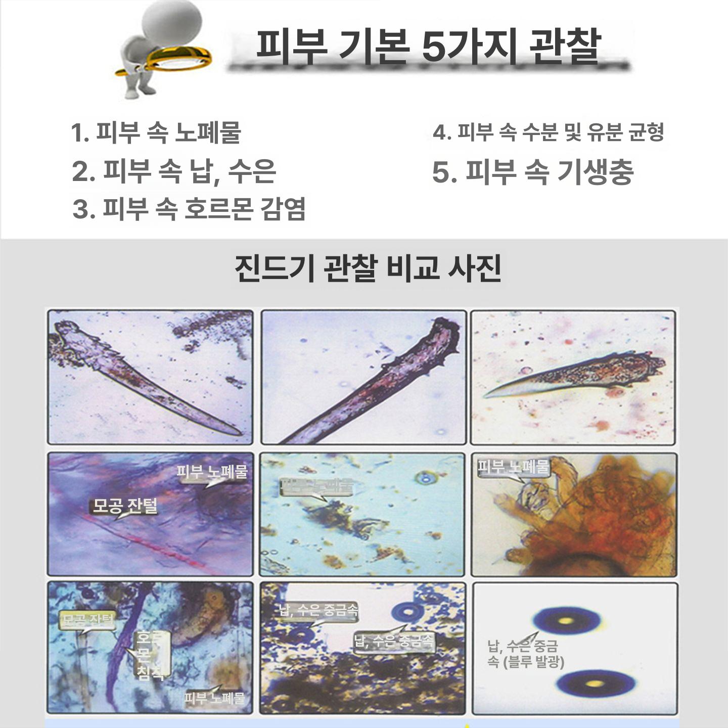 생물 현미경 고배율 입문용 디지털 정밀 자연관찰 관찰 듀오 풀세트 확인 탐구 진단 학생용 - 상세 이미지 4