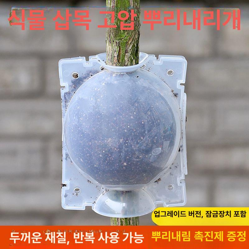 공중뿌리 취목볼 고압 루팅볼 뿌리번식 묘목 접목 온실 발근 고투명성 재배 전용 - 상세 이미지 2