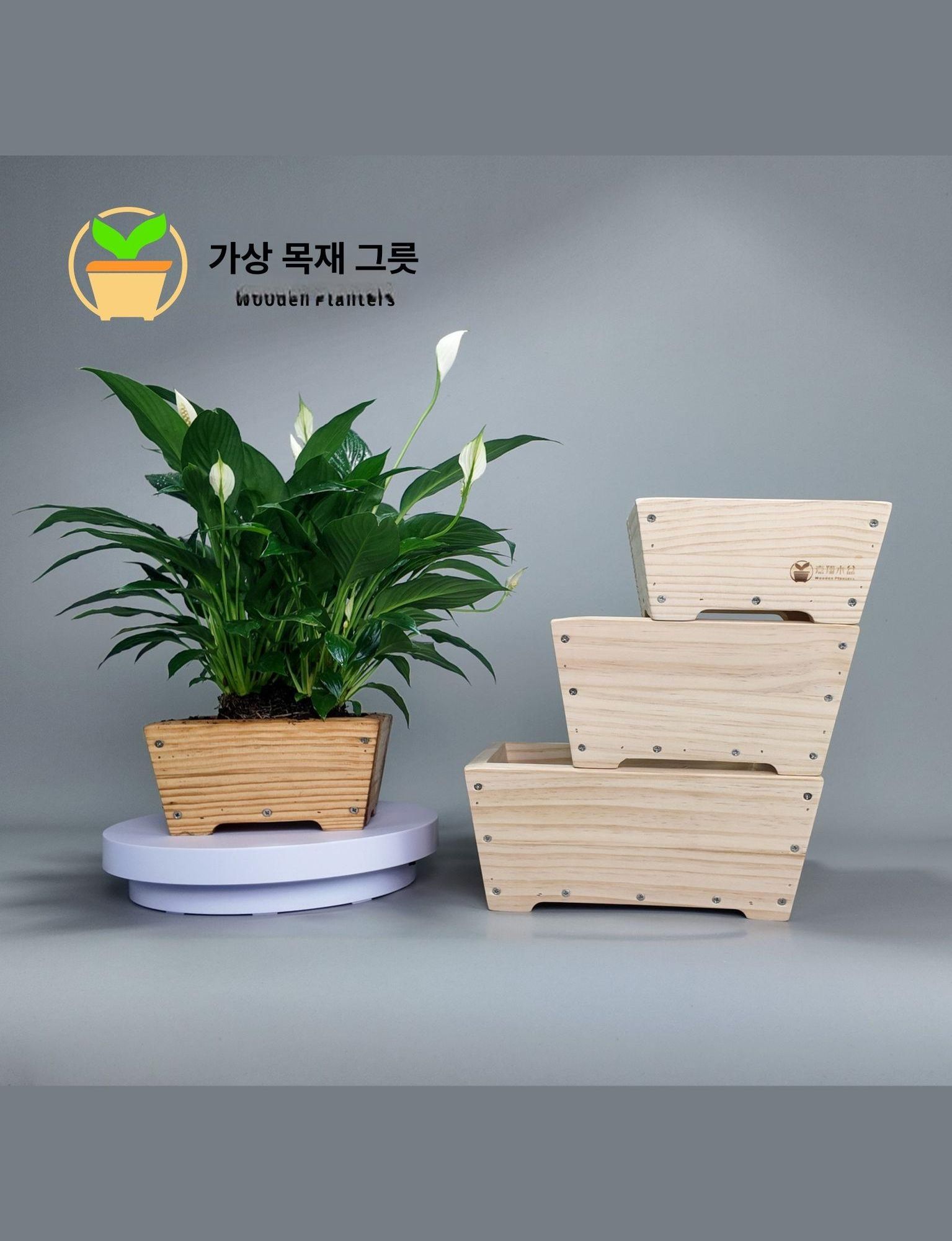원목화분 소나무 천연우드 실내정원 식물 화초 꽃 분재 보관함 데코 정원용품 - 상세 이미지 2