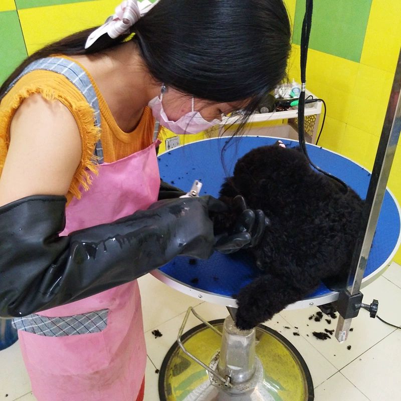 고양이 반려견목욕장갑 미용 애완견 그루밍 털갈이 펫 애견빗질 강아지샤워장갑 - 상세 이미지 3