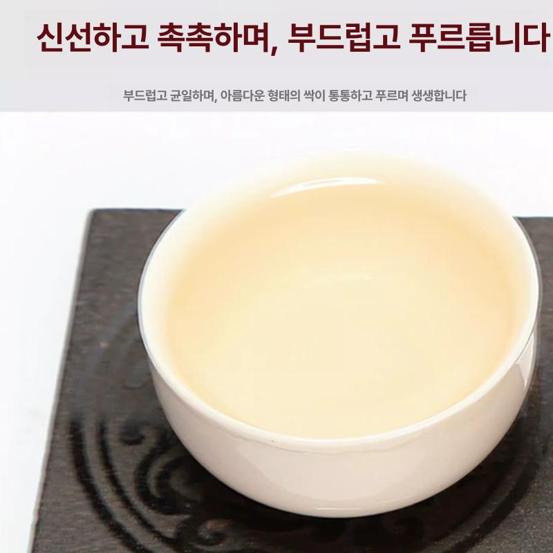 복건성 백호은침 고산 밀향 특급 백차전 포장 숙성 이미지 6