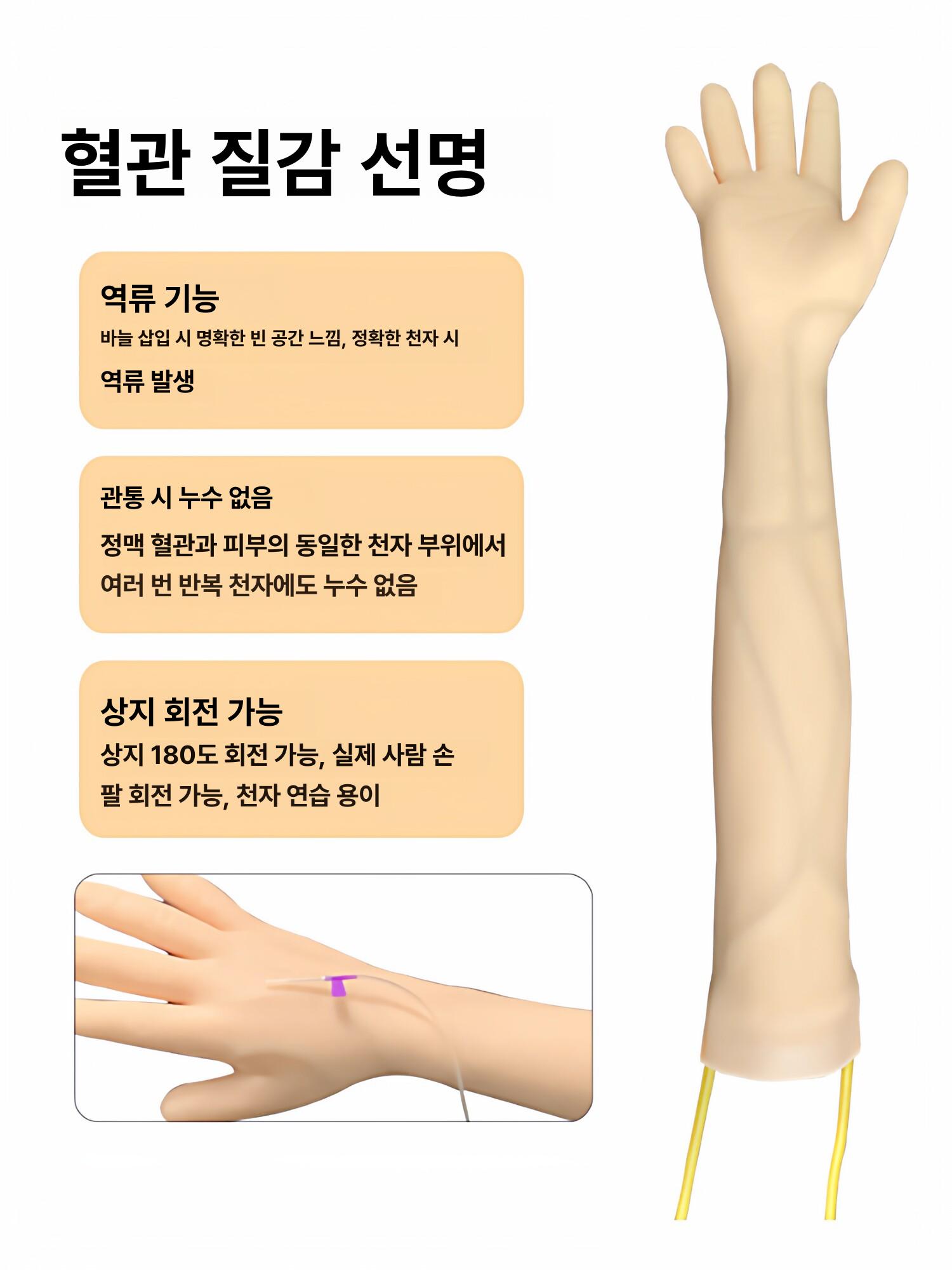 의료실습모형 정맥주사 연습키트 혈관주사 마네킹 의학교육용 훈련모형 - 상세 이미지 4