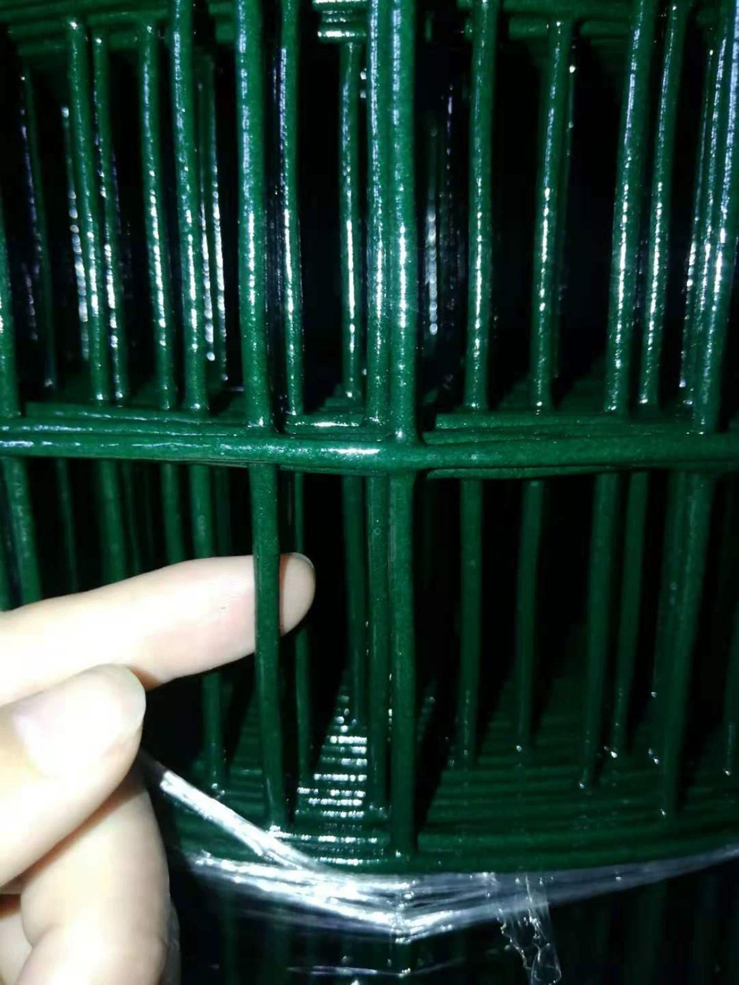 닭장 메쉬 울타리 철조망 염소망 플라스틱 담장 철망 능형망 울타리망 사육 - 상세 이미지 5