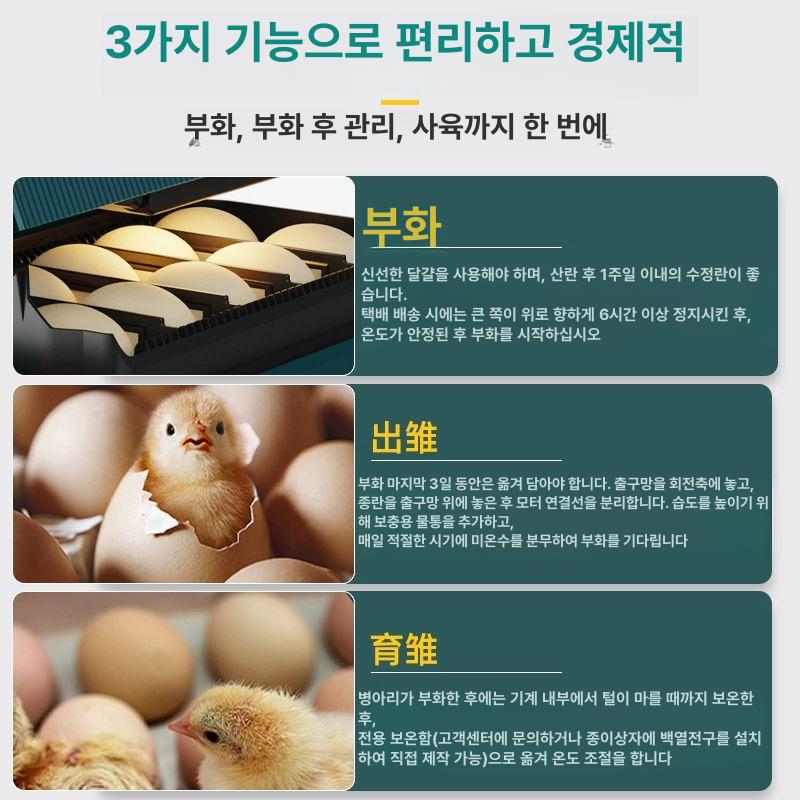 스마트 자동부화기 블루 육추기 알 인큐베이터 전원 가정용 키우기 단전 과학 - 상세 이미지 5