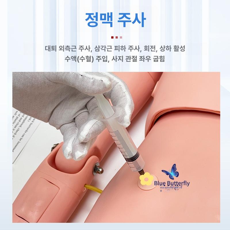 의료용 인체모형 실습용 남성 마네킹 흉부 해부학 교육 연습 더미 실제 크기 - 상세 이미지 4
