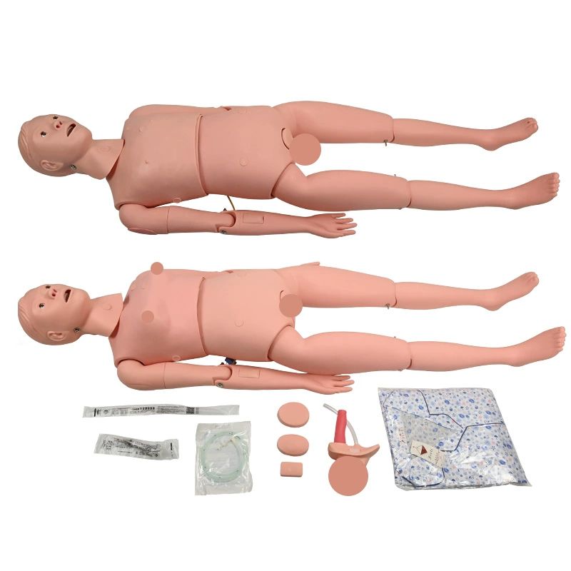 간호실습 인체 의학 치과 교육용 뼈 교구 간호학과 간호사 의대 과학 학습 훈련 - 상품 이미지