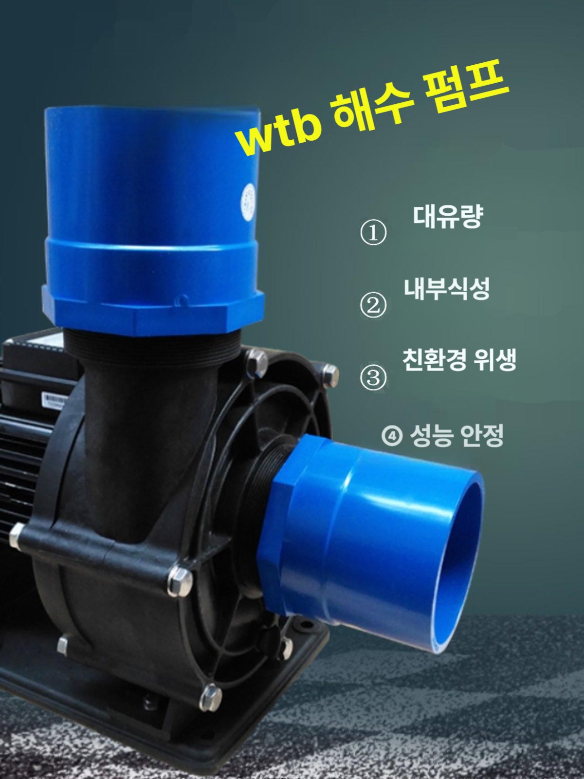 온천 펌프 해수 스파 워터 목욕탕 정화기 풀장 워터펌프 수족관 설비 펜션 모터 물펌프 - 상세 이미지 2