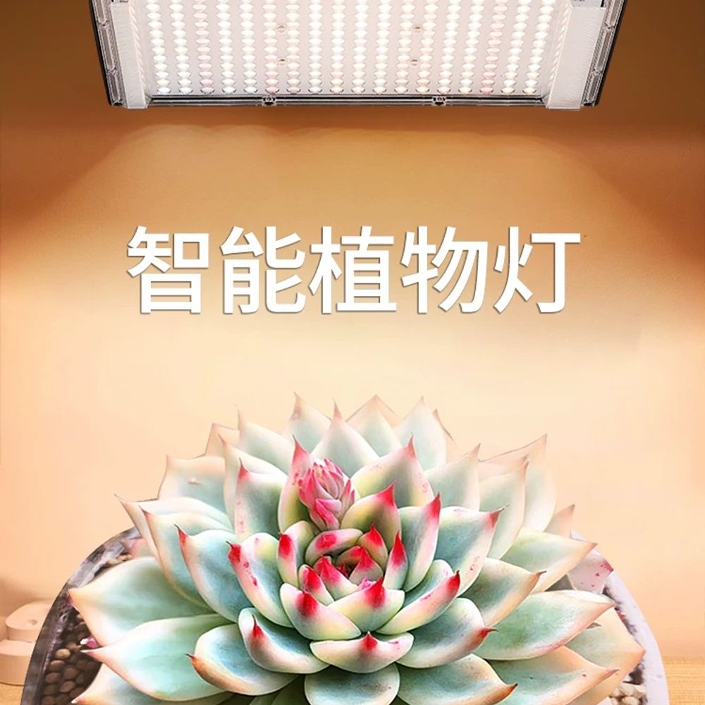 소형 온실하우스 그로우텐트 단열 식물재배용 성장촉진 보광등 재배기 비닐 퀀텀 화초 - 상세 이미지 2