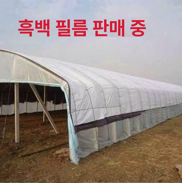 단열 에어캡 10m 베란다 창문 보온 덮개 겨울 방한 보온재 단열재 - 상세 이미지 5