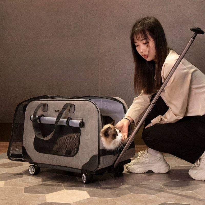 반려동물 이동식 캐리어 고양이 강아지 외출용 통풍 투명 가방 여행 펫백 - 상품 이미지