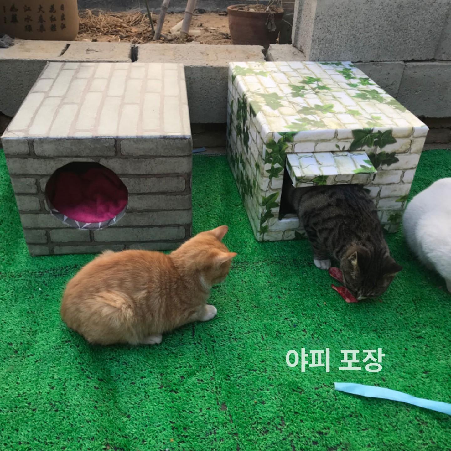 겨울집 하우스 길고양이 애견 방수텐트 실외 캣하우스 보온집 베란다 쉘터 - 상세 이미지 5