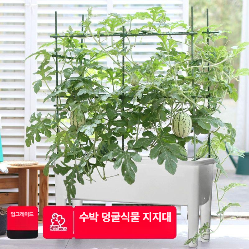 토마토 고추 오이 재배용 넝쿨 지지대 세트 원형 클립식 식물 지탱대 정원 가든 용품 - 상세 이미지 2