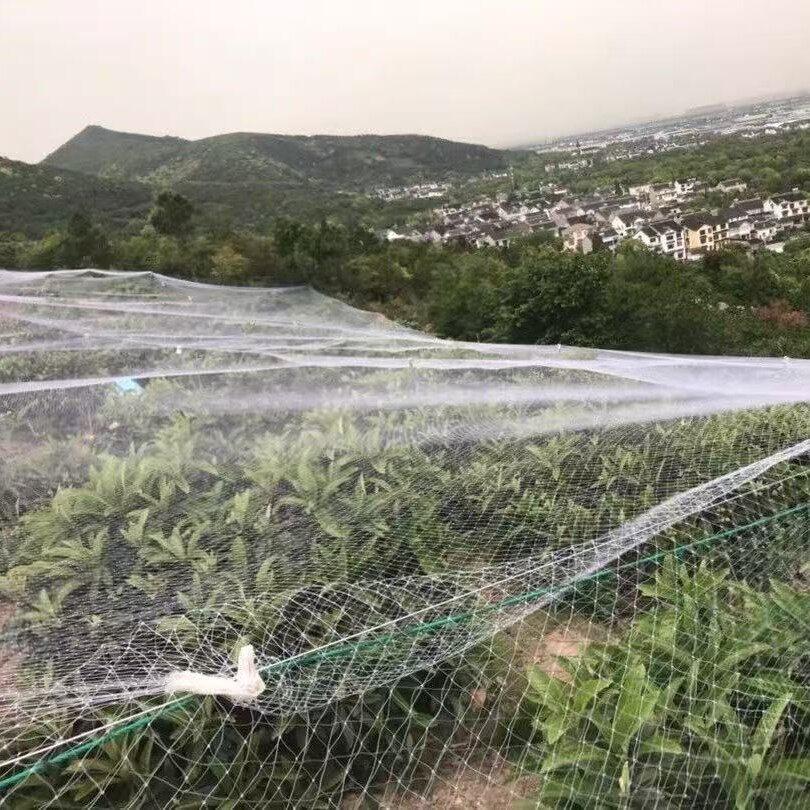 재배용 방조망 25m 고추 호박 오이 블루베리 넝쿨 지지망 원예용 텃밭 정원 식물 보호망 - 상품 이미지