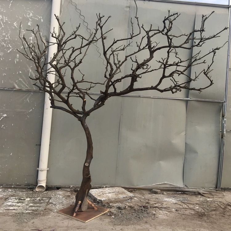 조화 소원나무 진짜같은 인조목 조경 화분 식물 모형 실내 가죽 나뭇가지 가짜 생화같은 - 상세 이미지 2