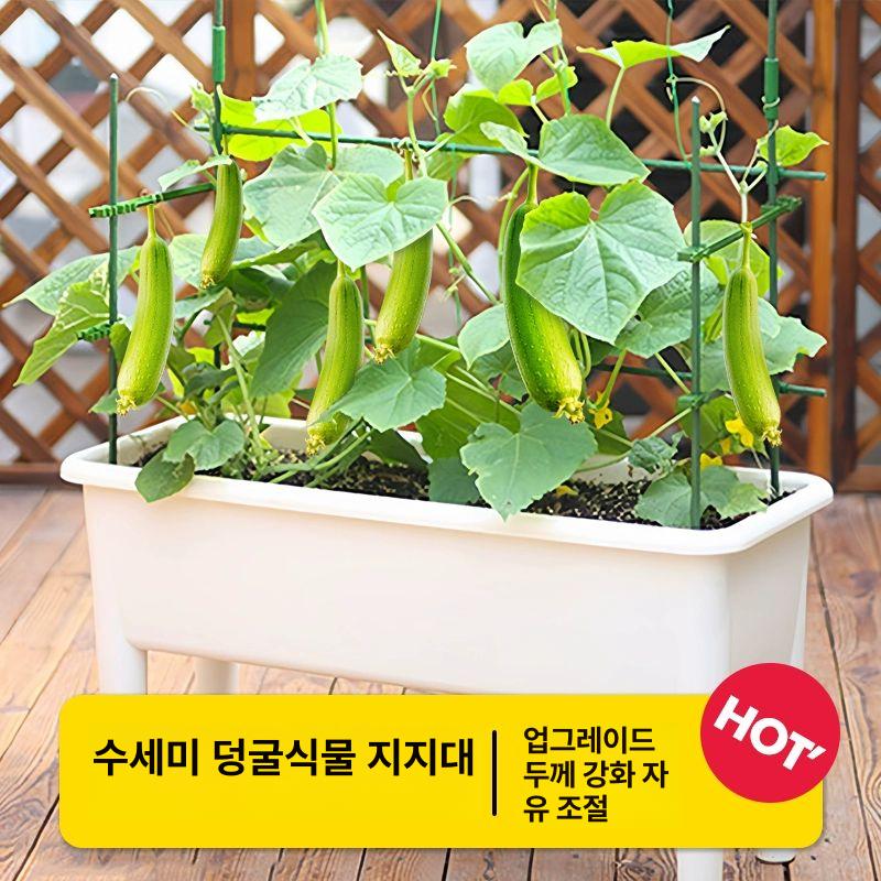 토마토 고추 오이 재배용 넝쿨 지지대 세트 원형 클립식 식물 지탱대 정원 가든 용품 - 상세 이미지 3