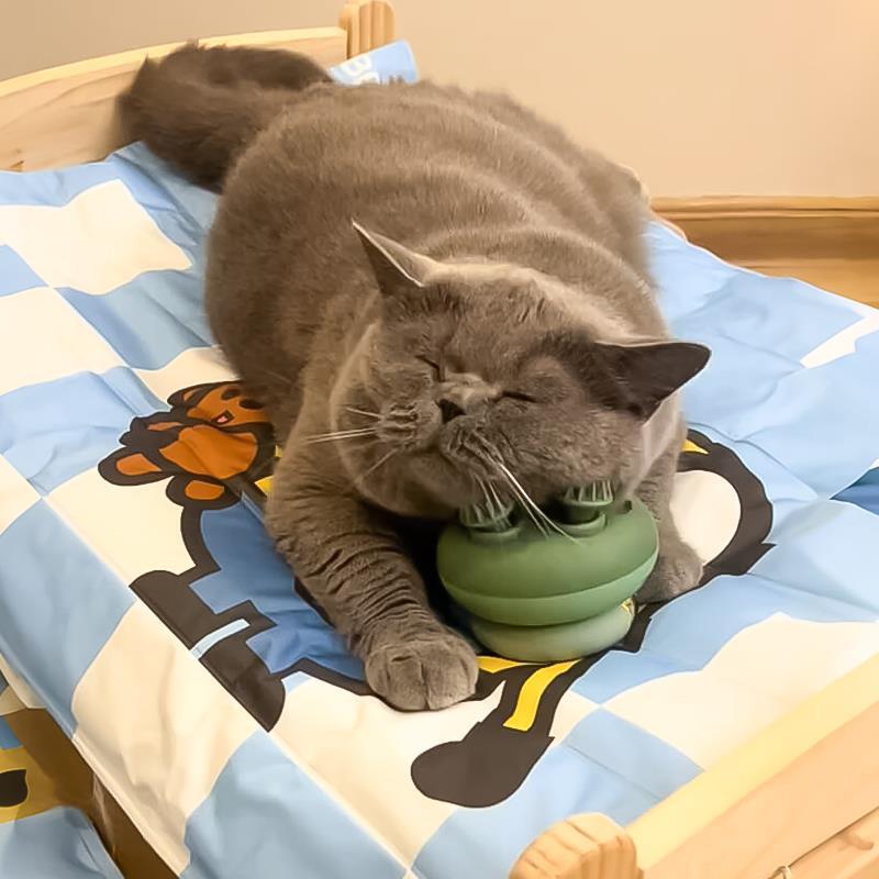 고양이 안마기 강아지 긁개 전용 두피 브러시 반려동물 애완동물 자동 고양이마사지기 - 상세 이미지 3