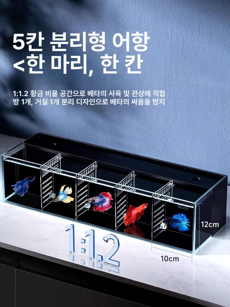파티션 베타어항 열대어 격리 칸막이 미니어항 물고기 순환 실린더 여과 관상용 치어 - 상세 이미지 3