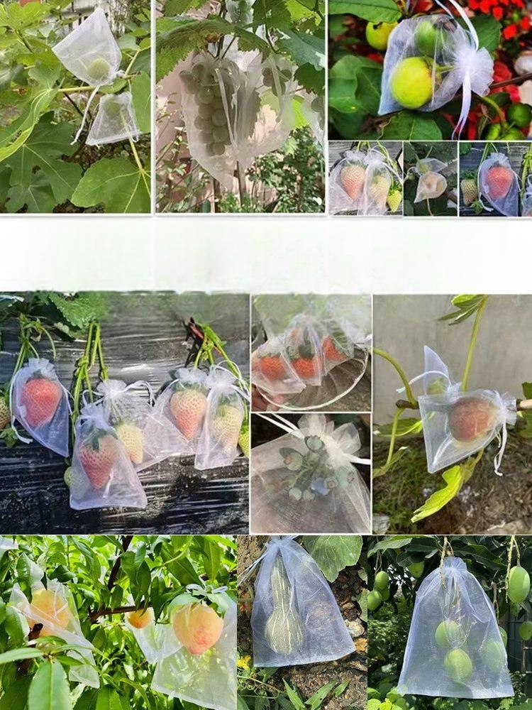 과일망 그물망 싸개 포장용 과수원 커버 충격방지 포장망 보호 패드 선물용 배 과일 포장 - 상세 이미지 3