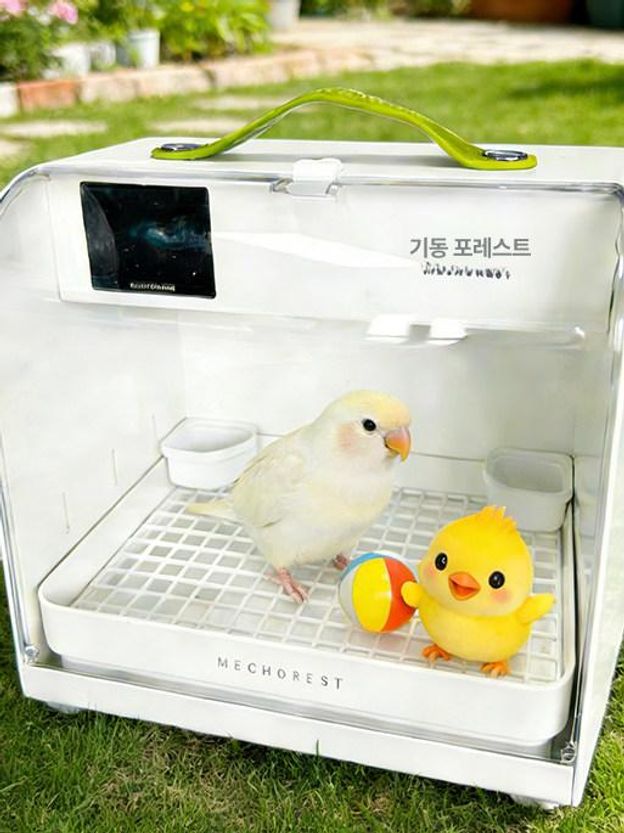 앵무새 이동식 충전형 케이지 육추기 가방 새장 산책 중형 날림장 대형 조류 놀이터 둥지 - 상세 이미지 2