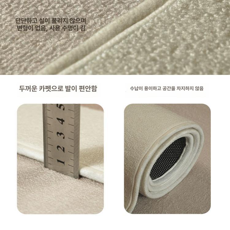 대형 현관매트 인테리어카펫 거실 자수 입구 미끄럼방지 발매트 웰컴매트 모던 깔개 - 상세 이미지 3