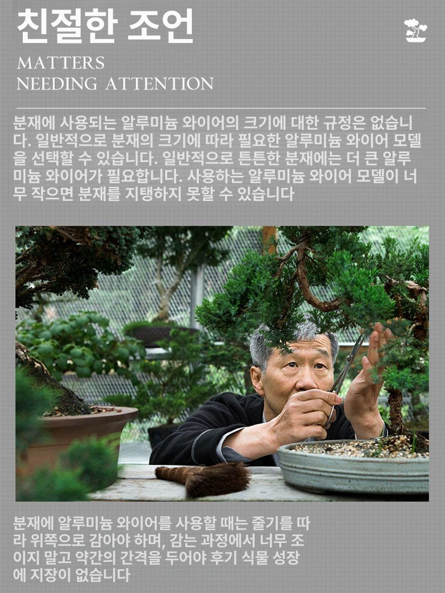 지지대 원예용 식물 와이어 분재용철사 - 상세 이미지 5