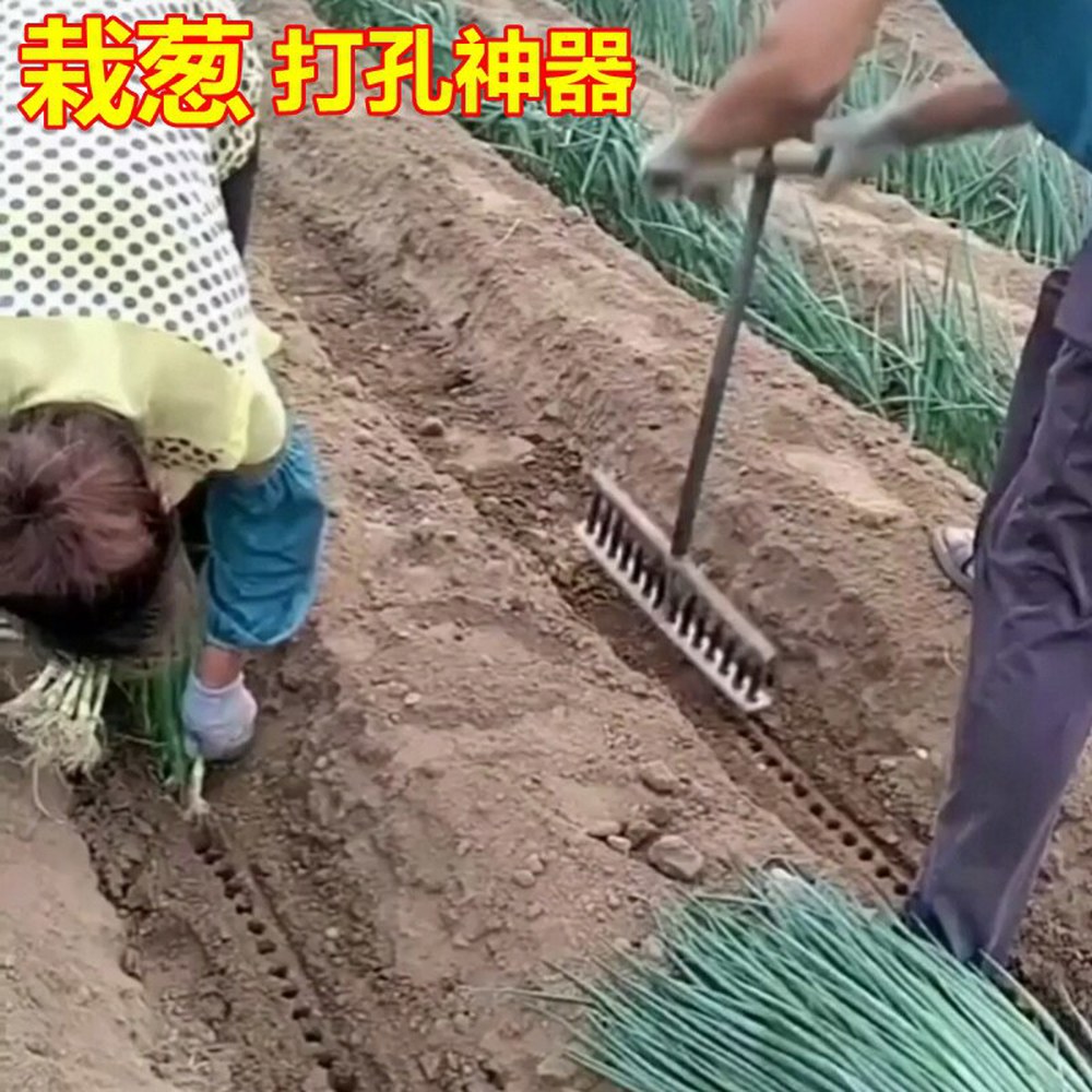 산업용 화염방사기 가스토치 스테인리스 용 축산 자동 화염건 토치 대형토치 화염 대형 12구재파신기 - 상세 이미지 3
