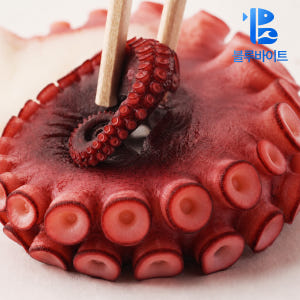 자숙 문어 다리 300g 돌문어 피문어 냉동 숙회 맛있게 먹은 솔직 후기 - 상품 이미지 1