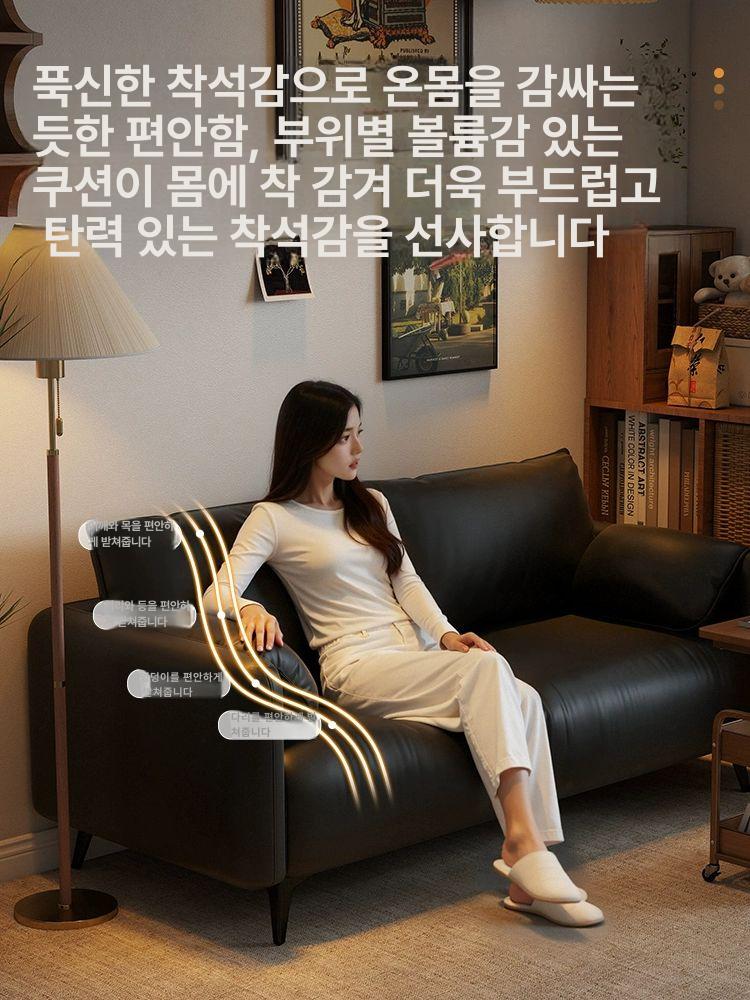 2인용 소파 원룸 소형 가죽 거실 소파 카페 엔틱 사무실 방수 내구성 블랙 클래식 - 상세 이미지 2