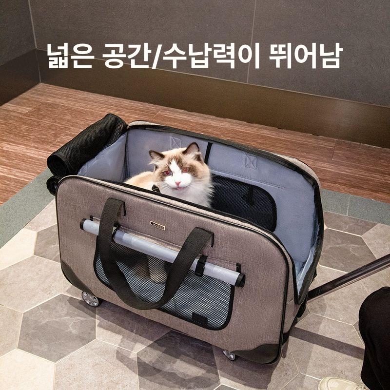 반려동물 이동식 캐리어 고양이 강아지 외출용 통풍 투명 가방 여행 펫백 - 상세 이미지 2