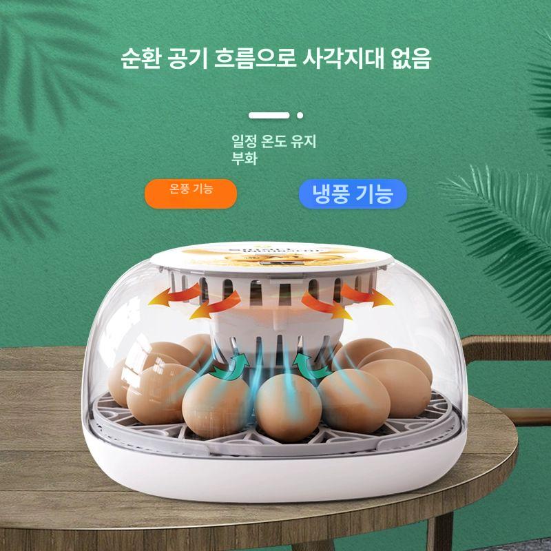 병아리 거위 메추기 계란 전자동 부화기 온습도 자동 조절 육추 인큐베이터 - 상세 이미지 2