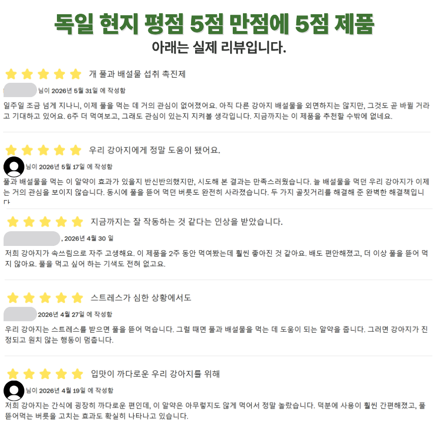 [독일1위] 똥먹는 강아지 풀먹는 강아지 식분증 이식증 치료제 300정 외출 산책 - 상세 이미지 3