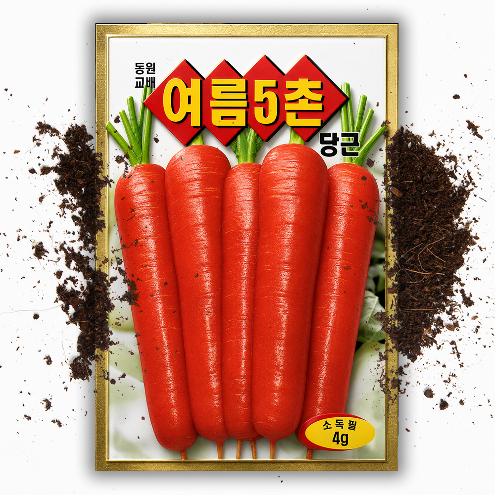 여름 당근씨앗 재배 당근 씨 4g 종자 채소 씨앗 - 상품 이미지