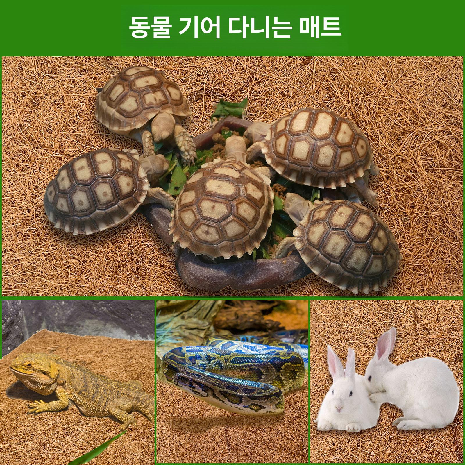 정원 코코넛매트 꽃 원형 패드 기본 화분덮개 멀칭 야외 가드닝 걸이형 코이어 시트 - 상세 이미지 4