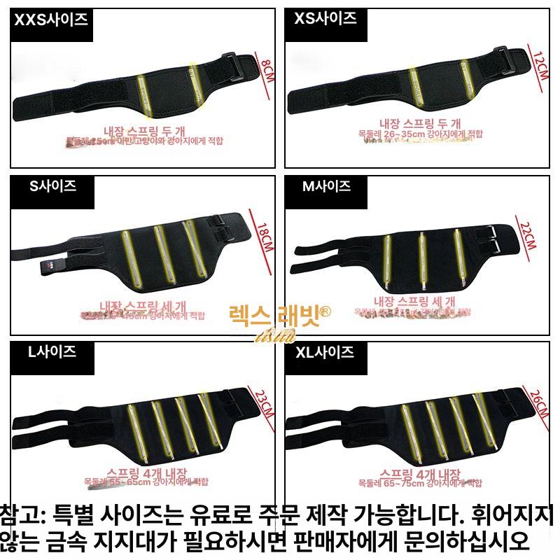 강아지 디스크 재활운동 고정 보조기 척추 근력 균형 - 상세 이미지 3