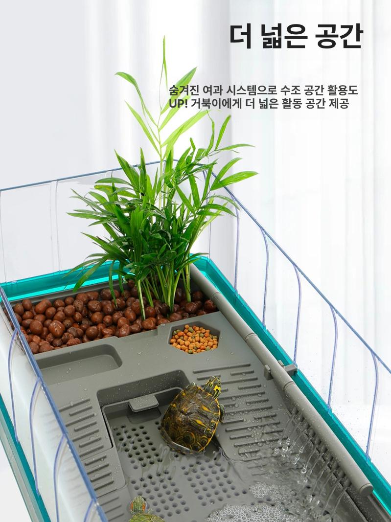 파충류사육 거북이수조 수중환경 생태관찰 아크릴 투명 키우기 반수생 테라리움 - 상세 이미지 3