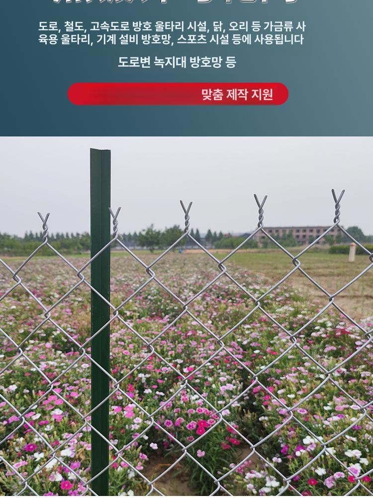 체인링크 철조망 사육장 경기장 운동장 풋살장 동물원 조류 만들기 고라니 코팅 케이지 - 상세 이미지 3