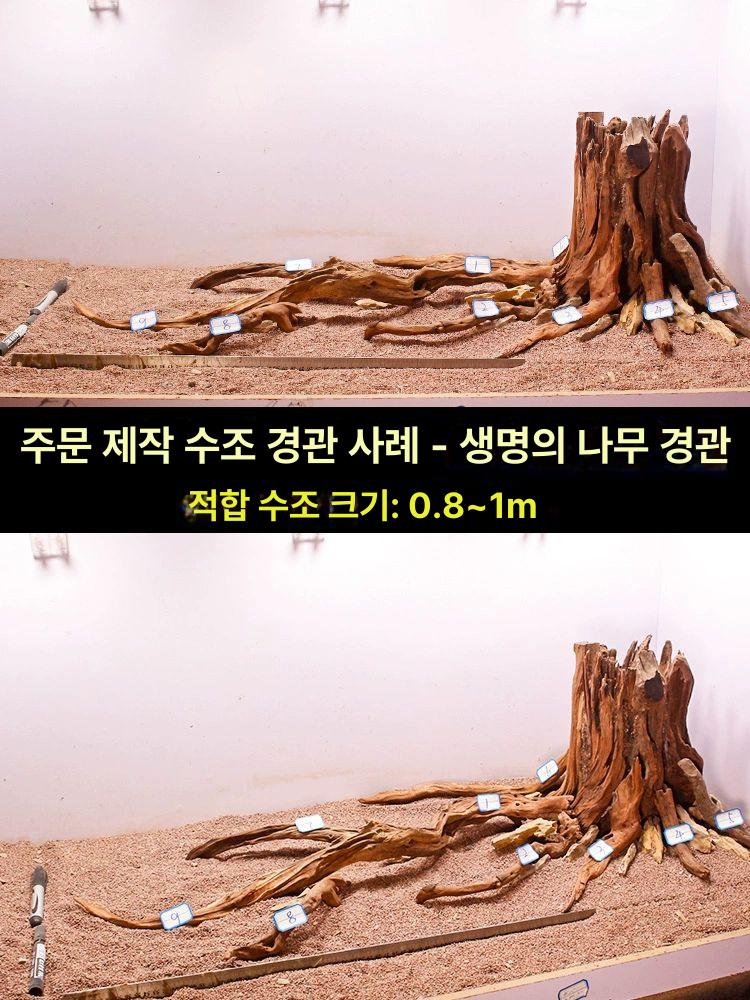 열대어 수족관 장식 나무 은신처 뿌리 가지 레이아웃 어항 꾸미기 액세서리 - 상세 이미지 2