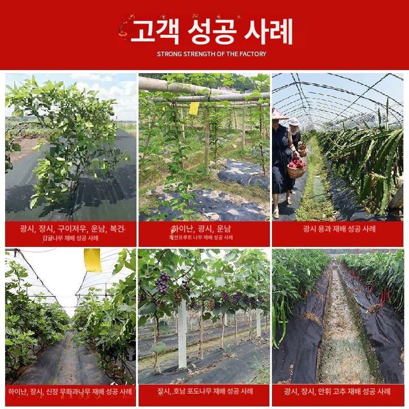 방초 부직포 100m 마늘 재배 보온 단열 방지 덮개 시트 잡초 방지 농업용 매트 - 상세 이미지 5