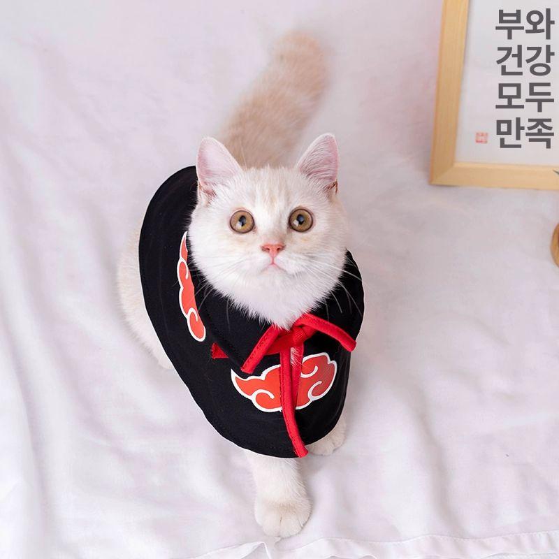 고양이 망토 코스프레 애완동물 뱀파이어 애견 호박 반려동물 날개 박쥐 숄 반려견 - 상세 이미지 3