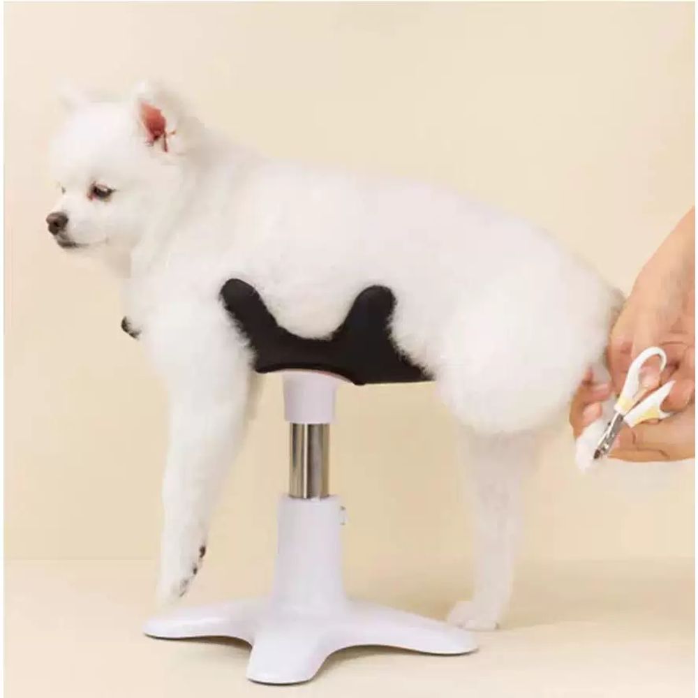 고정 강아지미용거치대 목욕홀더 손질 받침대 애견샵 미용대 미용테이블 유압식 - 상세 이미지 3