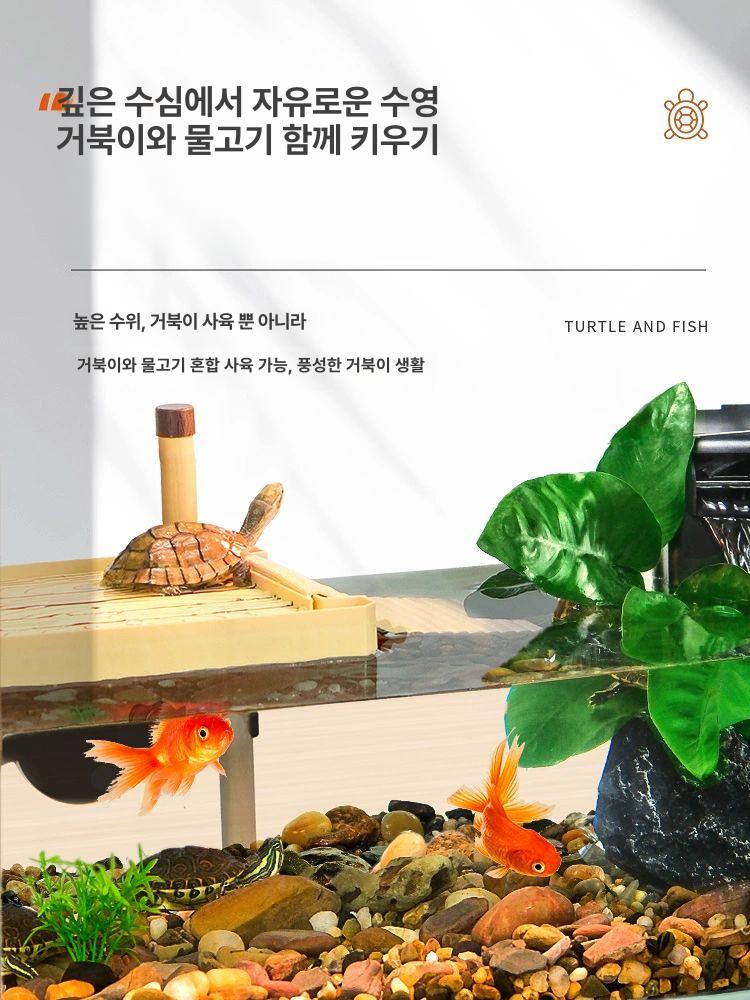 투명 어항 수족관 베타 금붕어 거북이 대형 다층 수초 조경 세트 물생활 - 상세 이미지 2