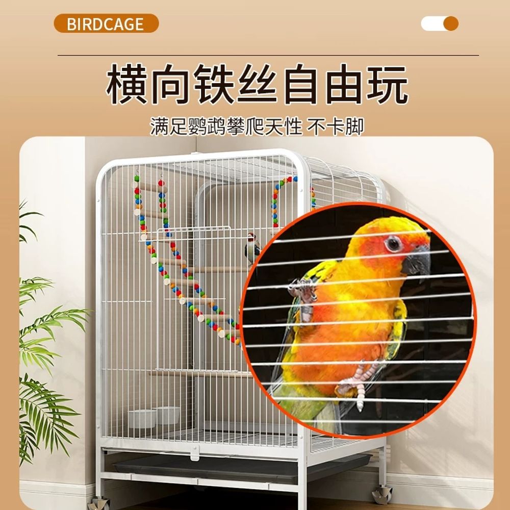 새집 앵무새새장 렉산 조류 횃대 케이지 잉꼬 앵무새장 사육장 번식 아크릴새장 - 상세 이미지 4