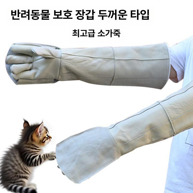애견 미용장갑 청소 정전기 브러시 개 고양이강아지 관리 제거기 털갈이 글러브 - 상세 이미지 2