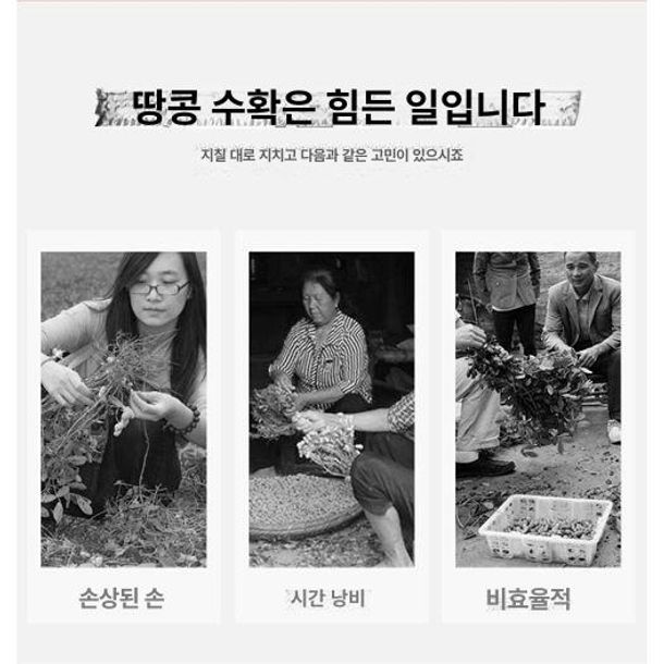 농업용 수확기 타작기 선별기 분리기 땅콩탈곡기 들깨 모터 채취기 터는기계 농기구 - 상세 이미지 2