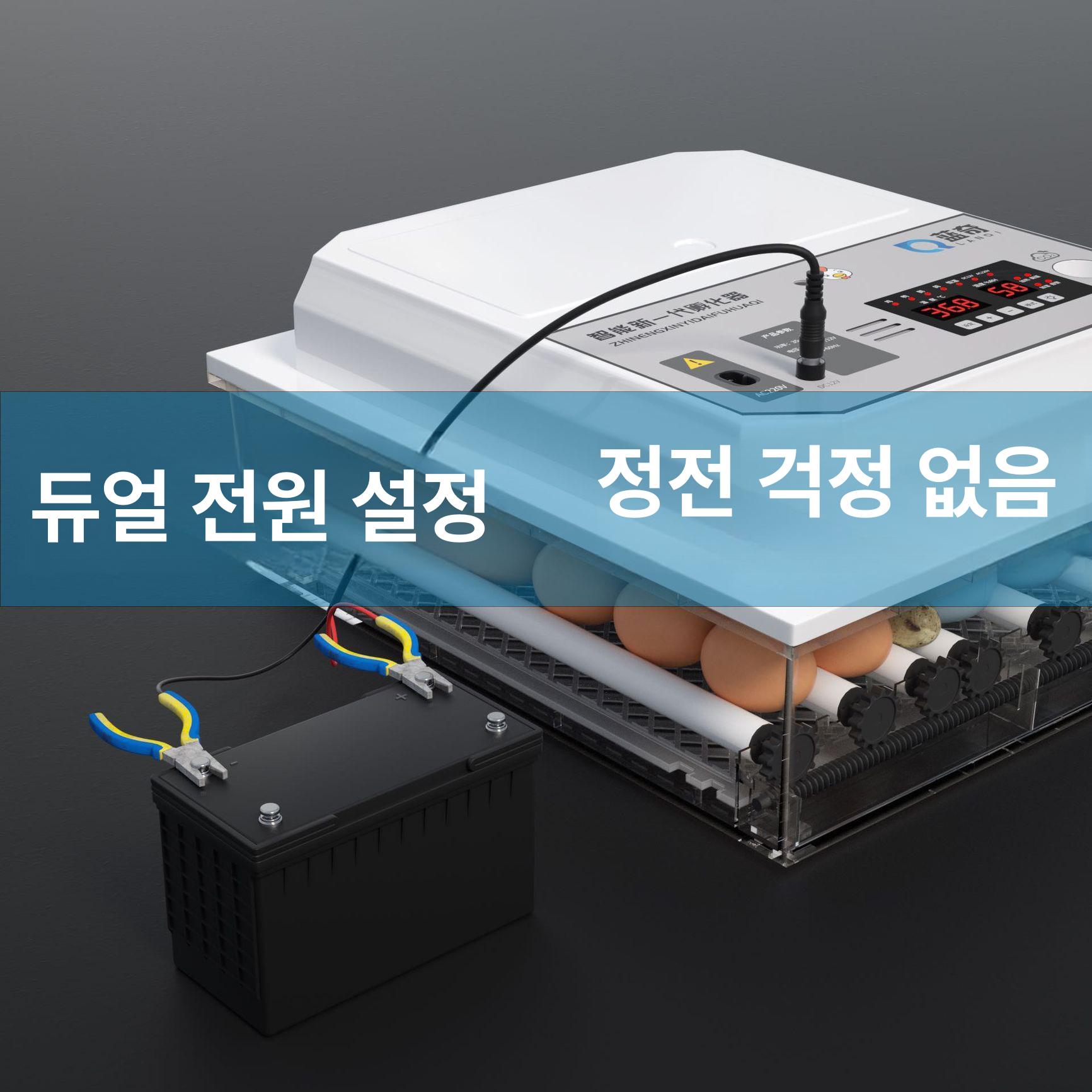 달걀 부화기 자동 온도조절 가정용 병아리 메추라기 닭 조류 키우기 인큐베이터 - 상세 이미지 3