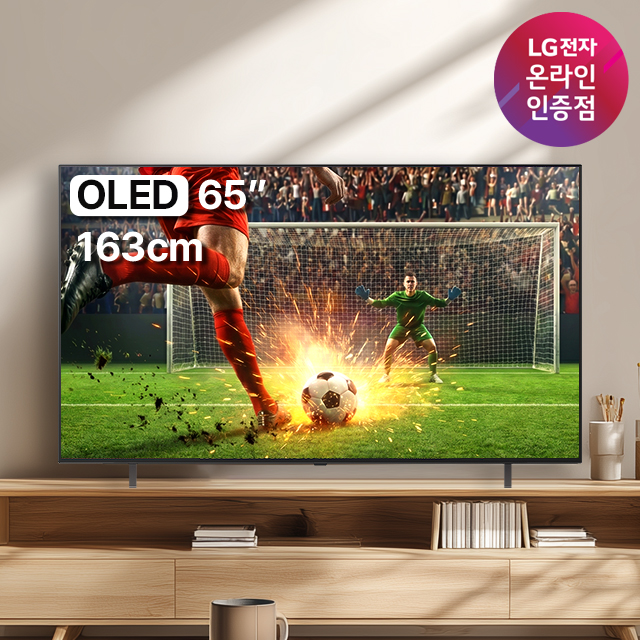 중복쿠폰 LG OLED TV AI 매직리모컨 포함 OLED65B5ENA (163cm), 스탠드