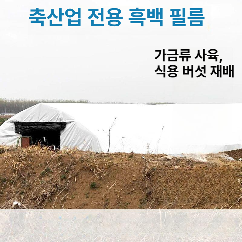 단열 에어캡 10m 베란다 창문 보온 덮개 겨울 방한 보온재 단열재 - 상세 이미지 3