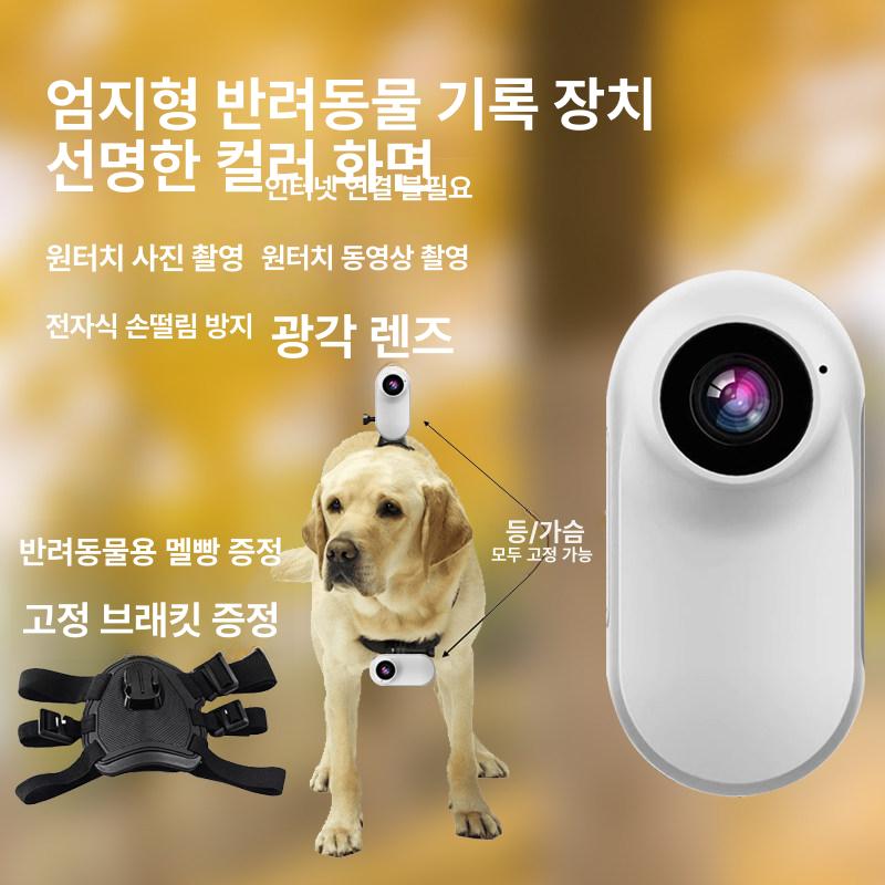 고양이카메라 디지털 컴팩트 바디 사진 선물 캠 액션 입학선물 발 강아지 자전거 동물 - 상세 이미지 5