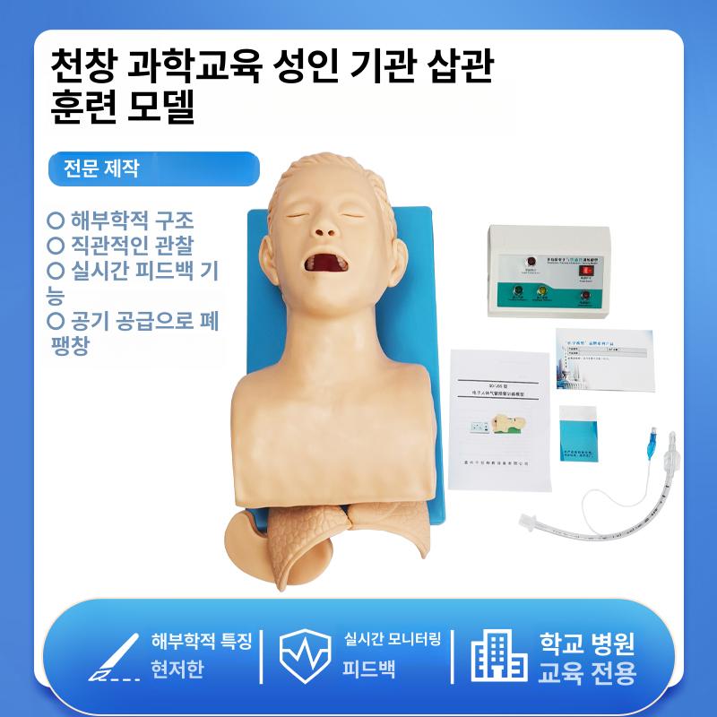 기관내삽관 실습 마네킹 성인용 응급처치 훈련 심폐소생술 CPR 연습모형 의료교육용 - 상세 이미지 2