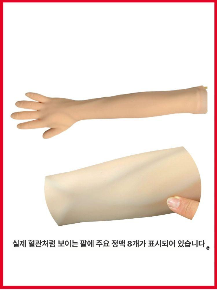 주사 실습 훈련 모형 팔뚝 혈관 채혈 실습 마네킹 시뮬레이션 교육 교구 간호 실습 - 상세 이미지 3